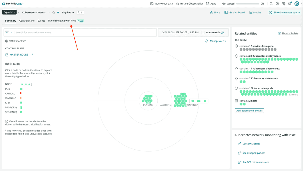 Arrow pointing to the live-debugger